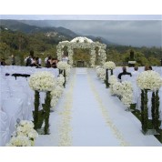 Black And Pink Flower Curtains