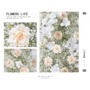 Light Pink Flower Wall