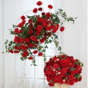 Red Plants Used In Winter Dried Flower Arrangements