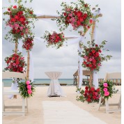 Boxwood Wall Wedding Backdrop