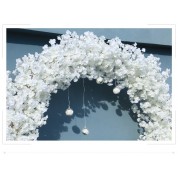 Hydrangea Wedding Arch