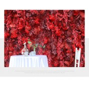 Outdoor Wall Backdrop For A Wedding Cake