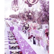 Backdrop Wedding Malaysia