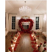 Red And Black Wedding Backdrops